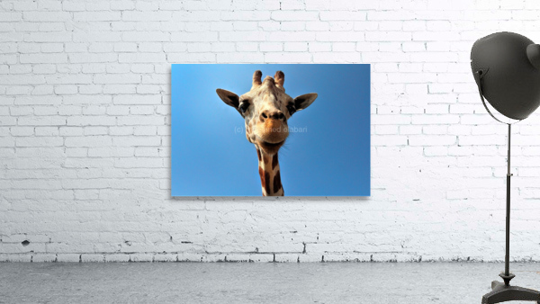 4167 Wall Preview