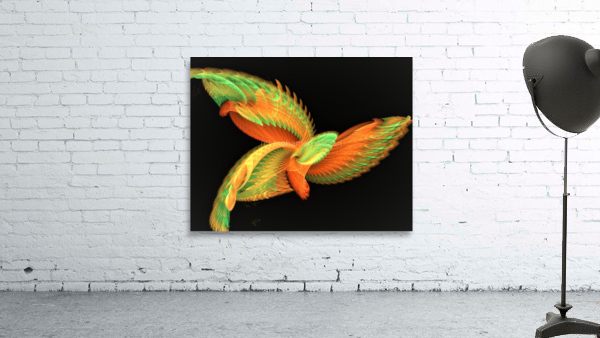 4207 Wall Preview