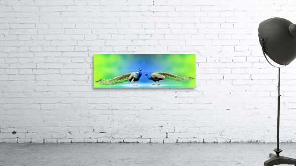 4256 Wall Preview