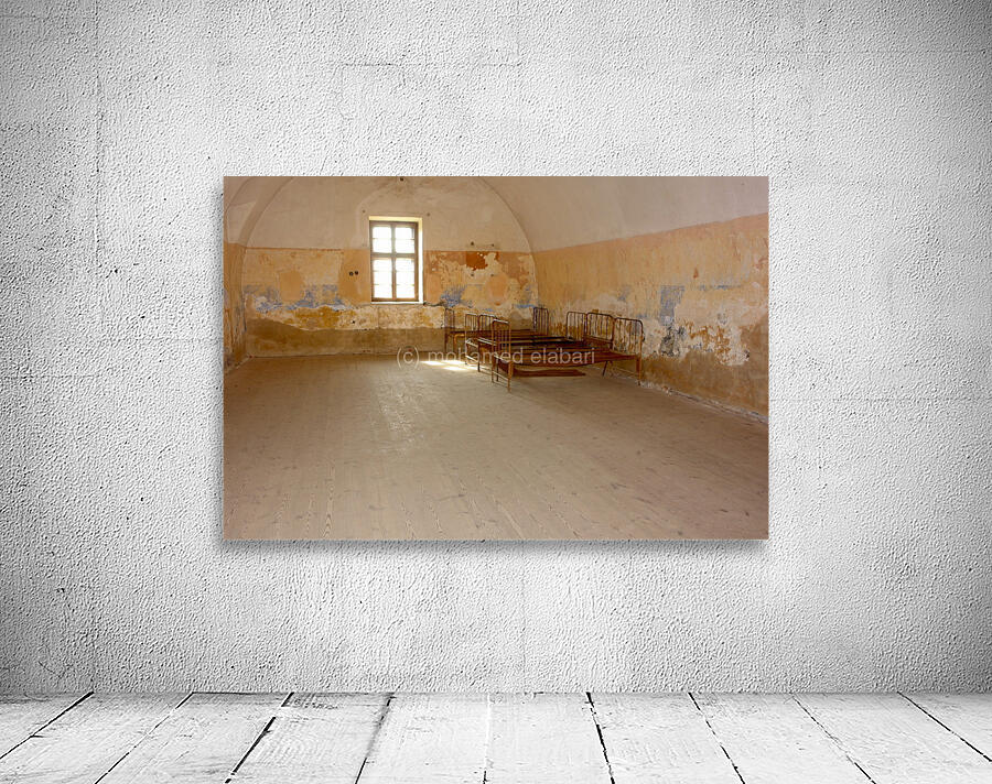 4295 Wall Preview