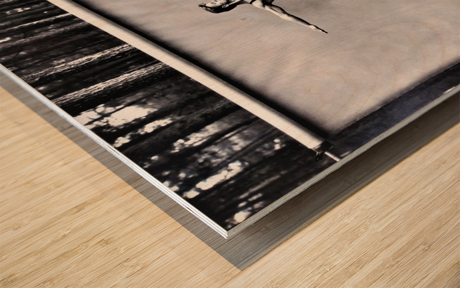 810 Wood print