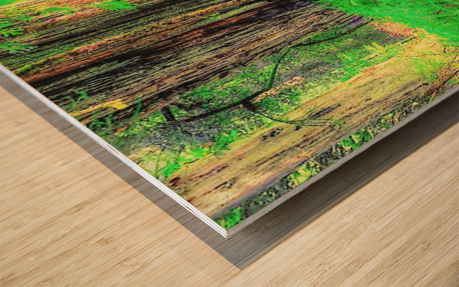 1259 Wood print