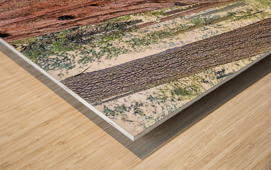 1267 Wood print