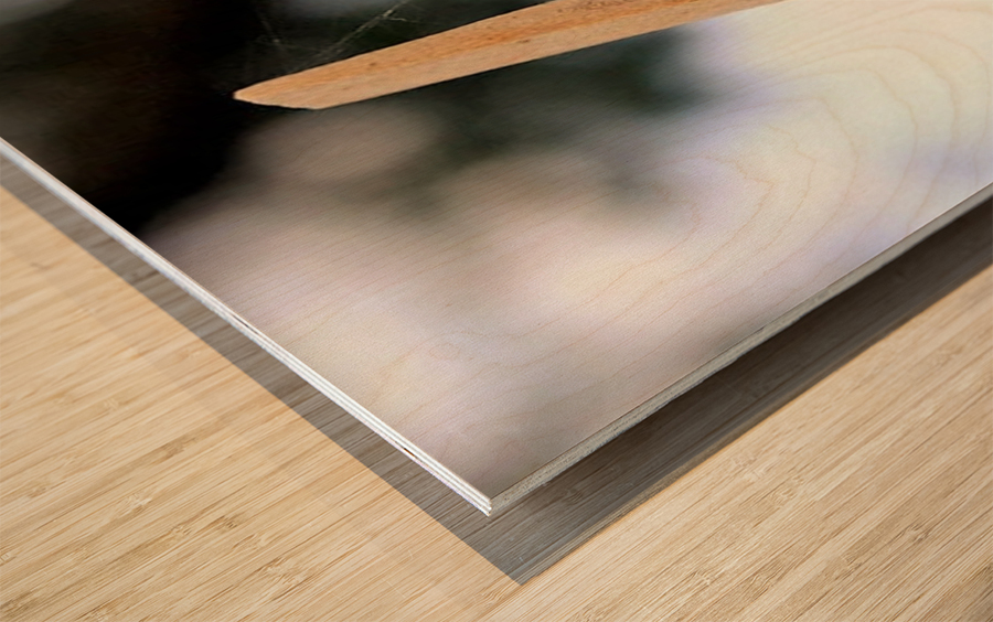 1456 Wood print