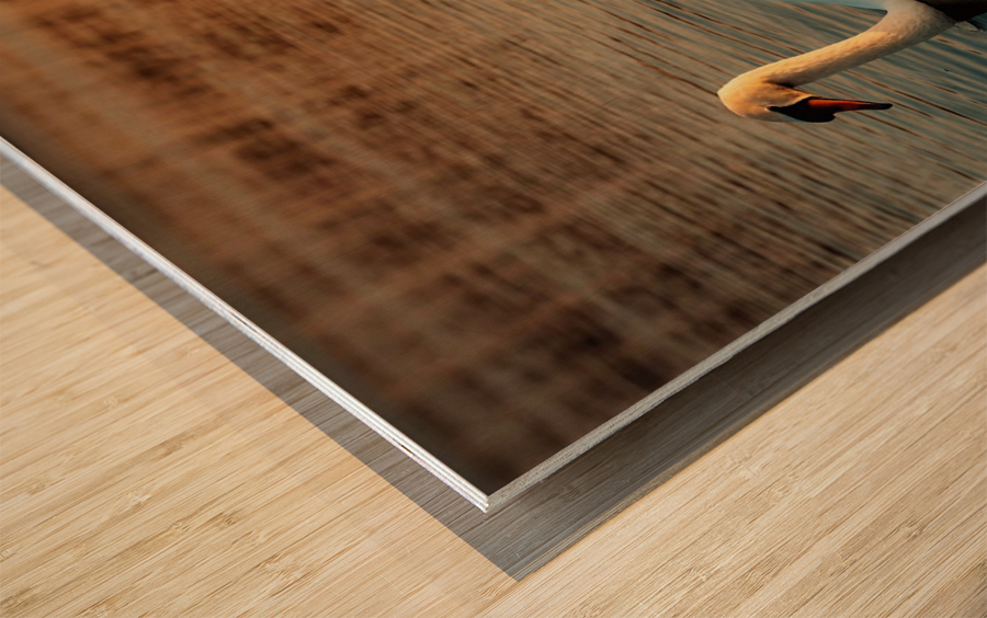 1561 Wood print