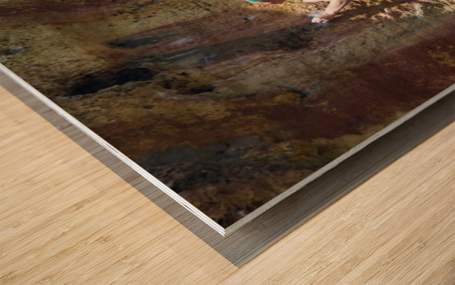 2489 Wood print