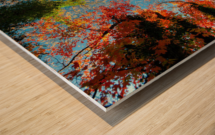 2678 Wood print
