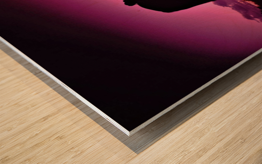 2737 Wood print