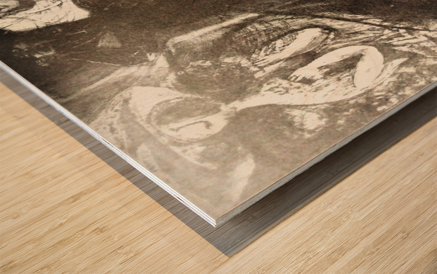 3326 Wood print