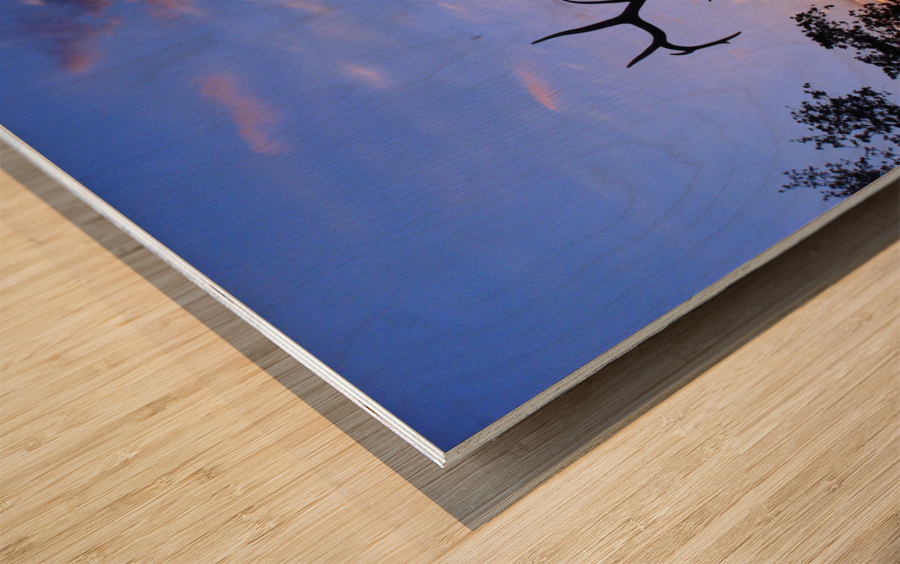 3327 Wood print