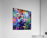 Solara Acrylic Print