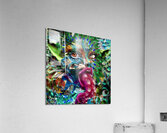 Kukoo Acrylic Print