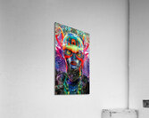 Mantik Acrylic Print