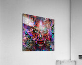 Aurorae Acrylic Print