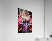 Varelia Acrylic Print