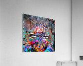 Horusi Acrylic Print