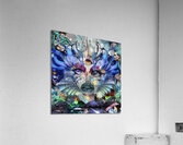 Aquaria Acrylic Print