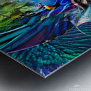 Aquelia Metal print