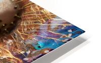 Xelara HD Metal print