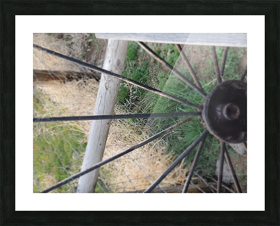 20200429_195751 Picture Frame print
