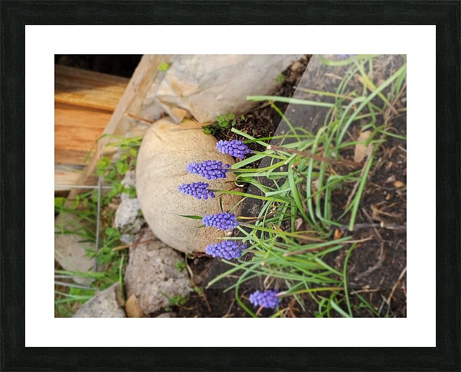 20200429_195040 Picture Frame print