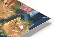 reflection vase HD Metal print