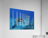 Three sisters  Acrylic Print