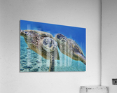 Lets talk  Acrylic Print