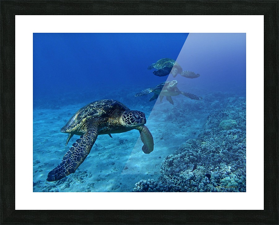 Three sisters  Picture Frame print