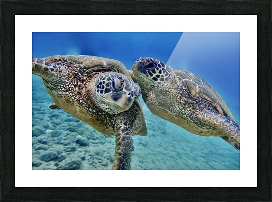 Lets talk  Picture Frame print