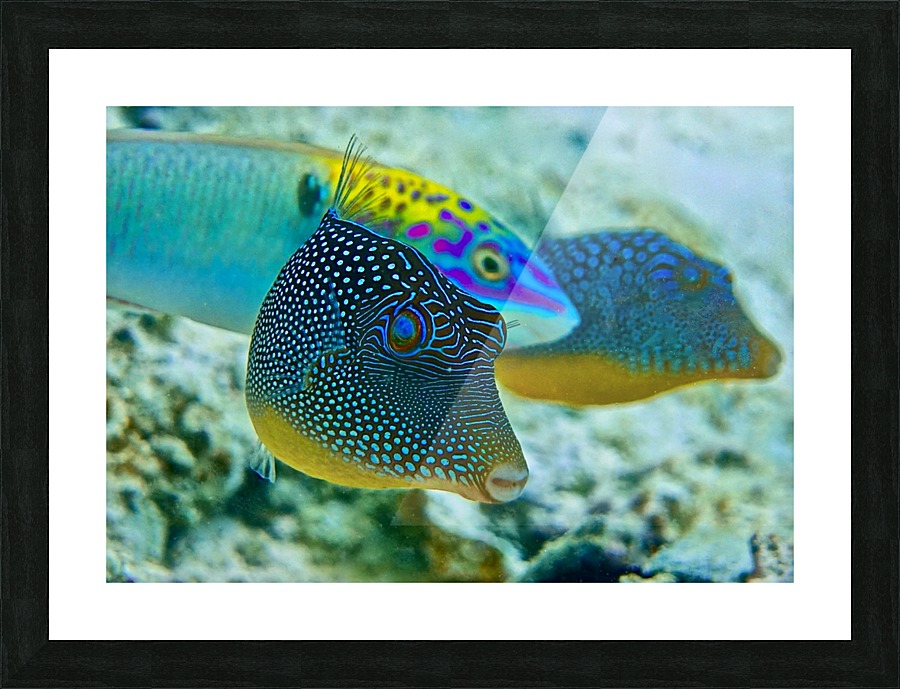 Blue world  Picture Frame print