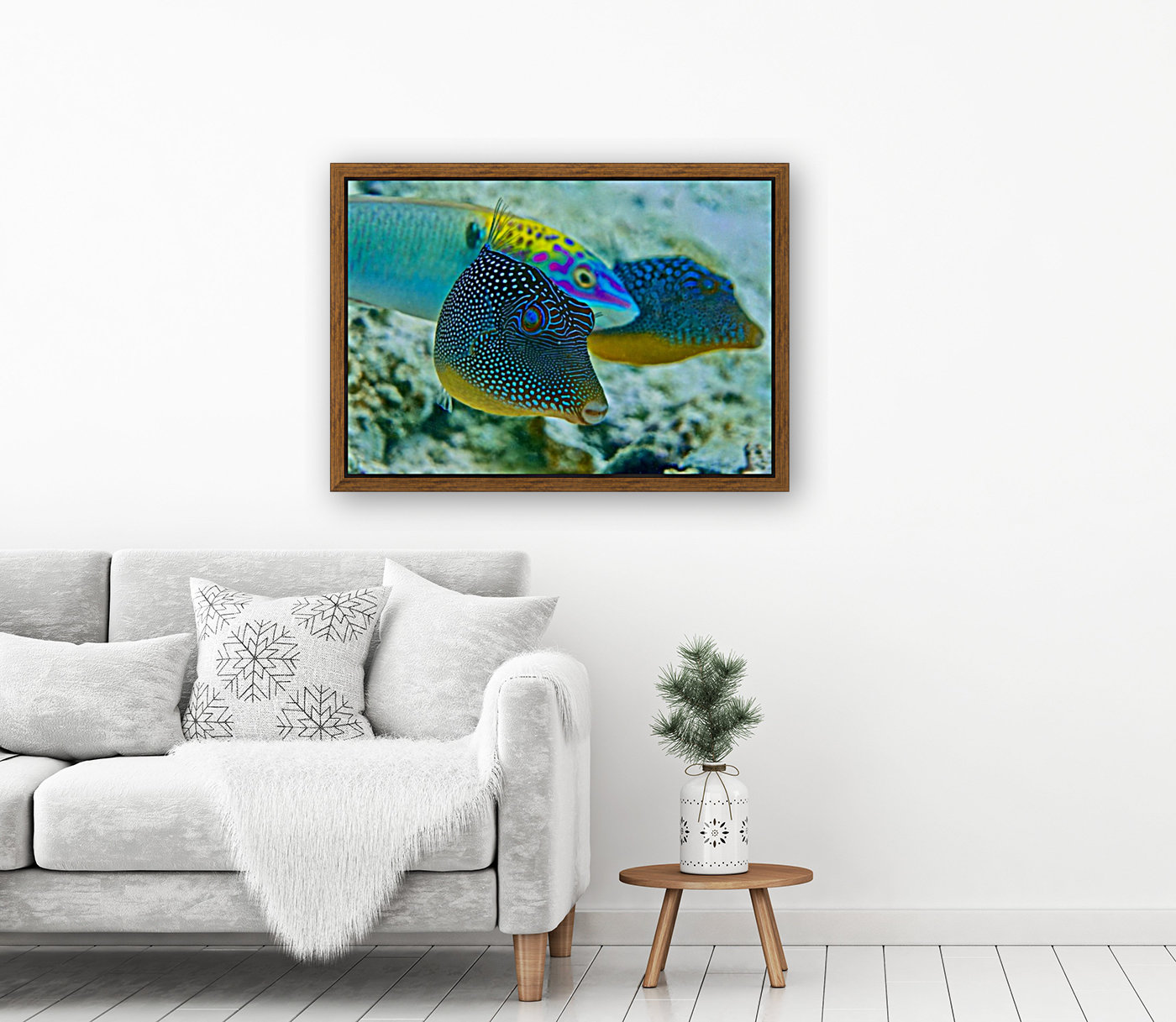Blue world  Reproduction