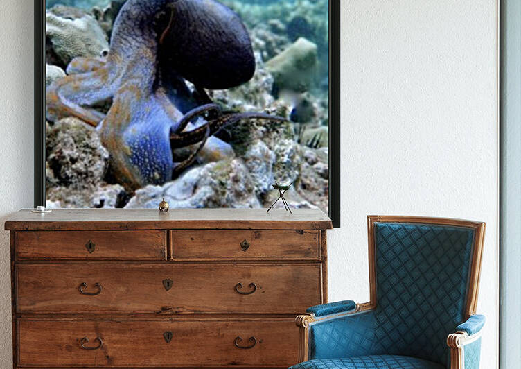 Blue Octopus by Tatiana Gonnason