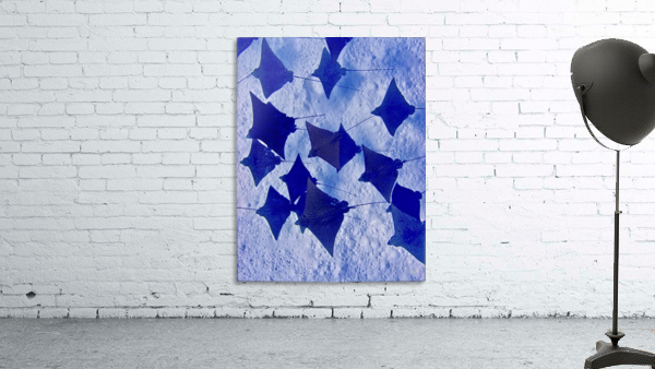 Flying...a school of eagle rays Wall Preview