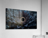 Eclipse Bloom: The Hidden Garden Acrylic Print