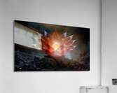 Phoenix Bloom: Fire from Ash Acrylic Print
