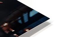Phoenix Bloom: Fire from Ash HD Metal print