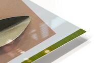 3D Origami Olive Leaf  HD Metal print