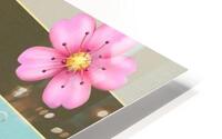 Cherryblossom HD Metal print