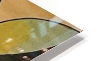 Exotic  HD Metal print