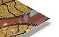 Organic  HD Metal print