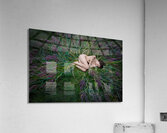 Symbiose Acrylic Print