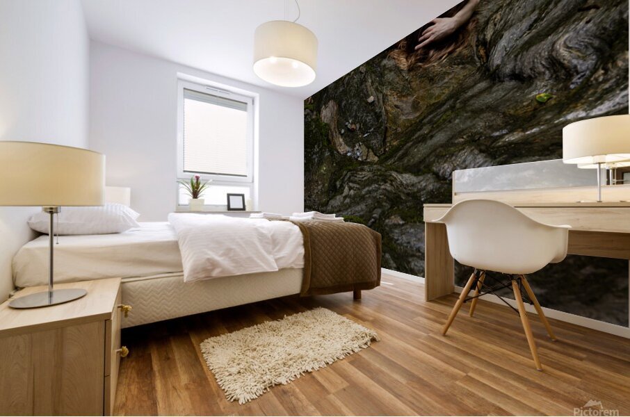 Sur le rocher Mural print