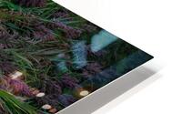 Symbiose HD Metal print