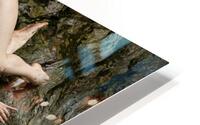 Sur le rocher HD Metal print