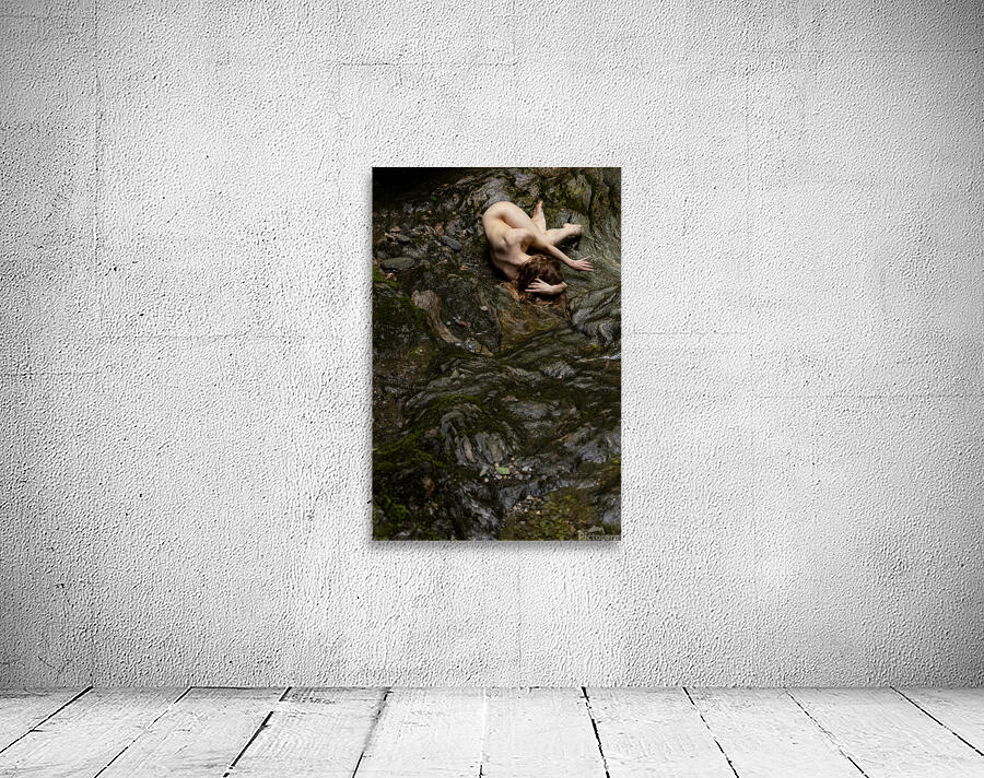 Sur le rocher Wall Preview
