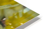 Daffodil A Side View HD Metal print