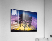 African Sunset Acrylic Print