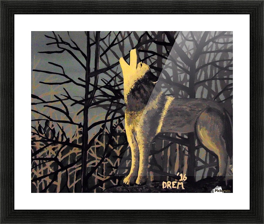 Lone Wolf Impression et Cadre photo