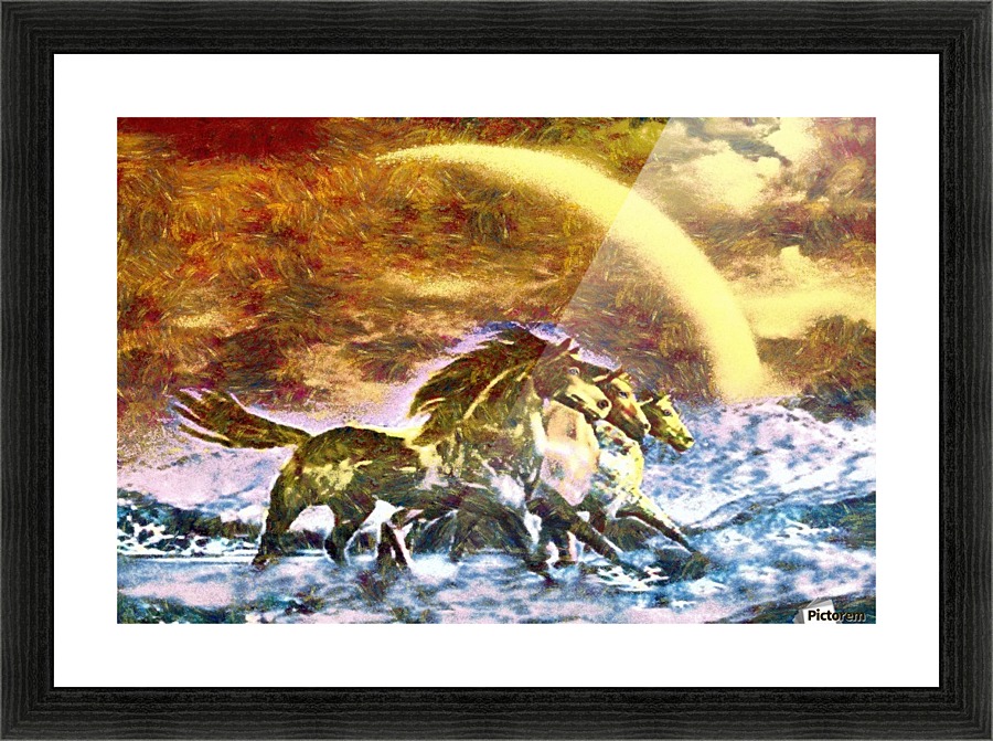 3 Horses  Picture Frame print